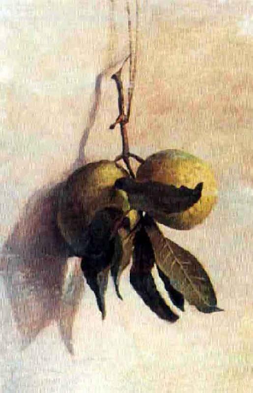 Benedito Calixto Guava France oil painting art